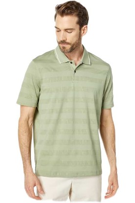 Picture of Ted Baker Irby Short Sleeve Textured Stripe Polo Pale Green XL (US Men’s 5)