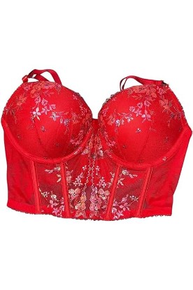 Picture of Victoria's Secret Push-Up Floral Embroidery Corset Top Color Red New