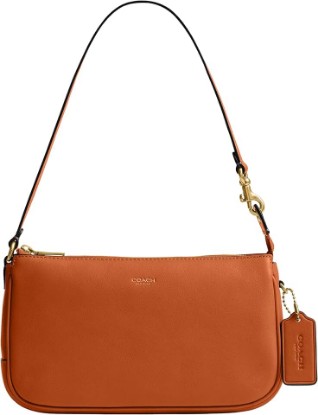 Picture of COACH Natural Grain Leather Plaza Bag