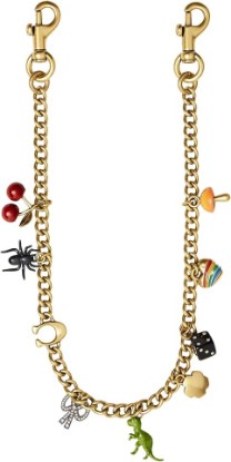 Picture of COACH Charm Chain Strap