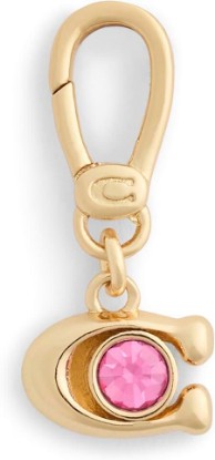 Picture of COACH Women's Collectible Signature Jewelry Charm