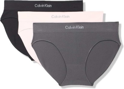 Picture of Calvin Klein Women's Seamless Rib Brief, 3 Pack