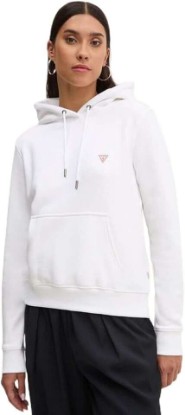 Picture of GUESS Mini Patch Hoodie