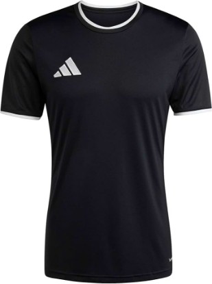 Picture of adidas Men's Entrada 26 Jersey