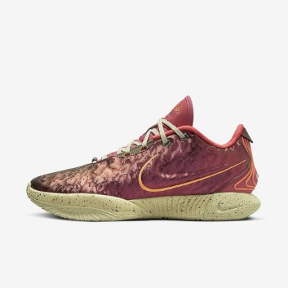Picture of Nike Men's Lebron XXI Shoes