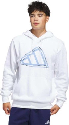 Picture of adidas Men's Big Logo Graphic Hoodie