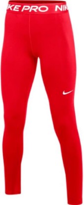 Picture of Nike Women's Pro 365 Tights Leggings