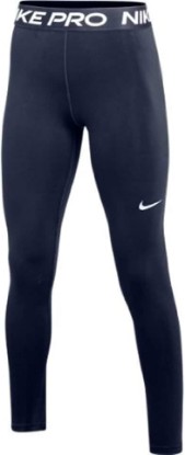 Picture of Nike Women's Pro 365 Tights Leggings