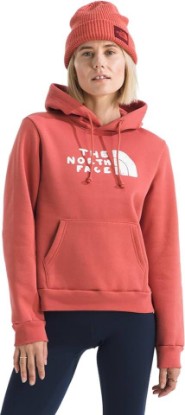 Picture of The North Face Women's Evolution Sketch Logo Half Dome Hoodie | Hood With Adjustable Drawcord, Kangaroo Hand Pocket