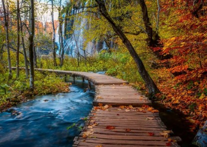Picture of Ravensburger Autumnal Wooden Trail 1000 Piece Puzzle for Adults The Forest Stewardship Council