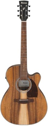 Picture of Ibanez PC50WSCE Acoustic-electric Guitar - Open-pore Natural