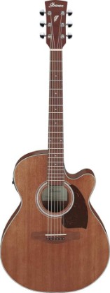 Picture of Ibanez PC54CE Acoustic-electric Guitar - Natural