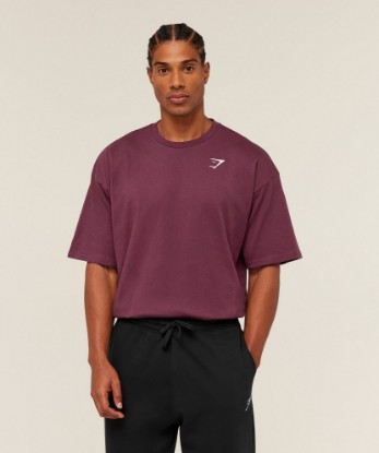 Picture of Crest Oversized T-Shirt
